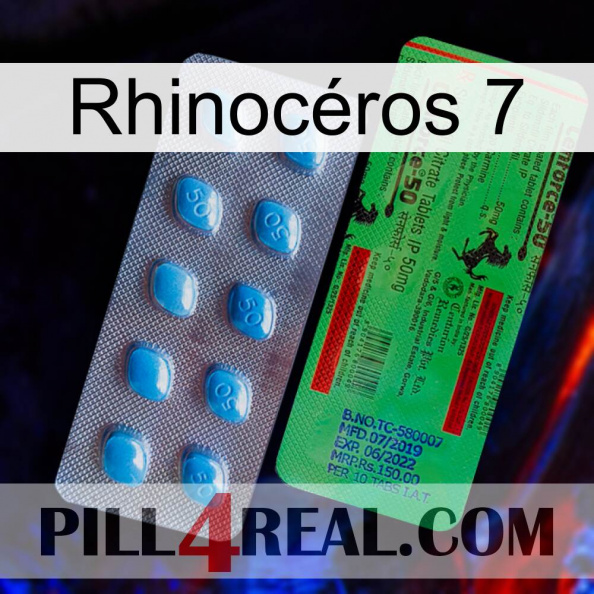 Rhinocéros 7 new03.jpg